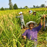 2׸߾ˮո2.2ףĶܴ1600