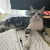 һ󲨵ĺɫըоڴ˰飨ѣ