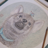 ������һ��