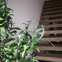 �д�����յ��ʫ���延����һĨ�̣����������������졭