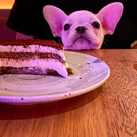 ���Ź���ȥ�ư���������Ƶ���