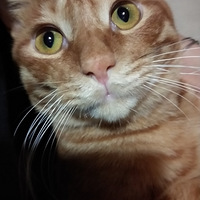 ������С����һ��������ӭ�ӹ���ѽ~