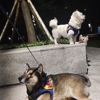 �������ú����ɰ���������