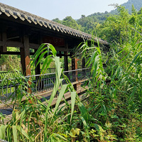 ������ɭ�ֹ�԰