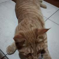 �����ճ�������~