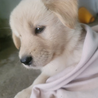 �������ǹ�������