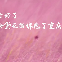 յķӲжྪޣɽȻƬӲʢ