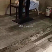 Ѱ����ĦҮ�׹�.4�µ��ڹ����ű���˳��