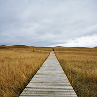 2021������-���˸��ϣ��ʼ��ؾ�������