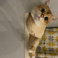 �𽥲�ܵ���Ů����