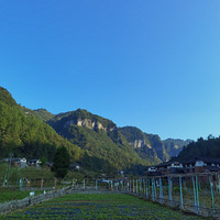 ˮʵϿᶼ죬ʺ¶Ӫɭɣδоϲ