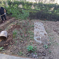 ����ڰ����߰���Ĳ�԰������һ��