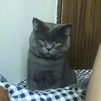 ��С������Ů���ѣ���