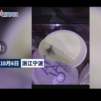 ٵӦ̲кȳ֩룺ϵ⳥600Ԫ