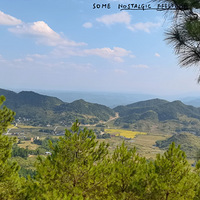 �����о�����ɽͷˣ������ڶ���¶Ӫ��