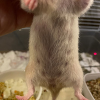 ��̽�˿���Ƿ��ѻ���