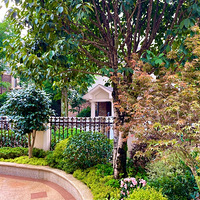 ��԰����һ��