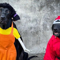 �����汾��������Ϸ����123ľͷ��...���������ֿɰ��ģ�