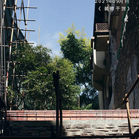 ���ŵ�ƴԽ��Խ�࣬�����ֽ���ôѡ��ҵ����ʿ��������𰸡�