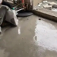 �����и�������