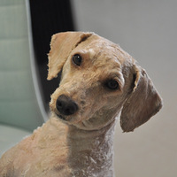 �����13���ë��ȥ�����ǣ��𻯺��Ҵ����ǻһؼҡ�