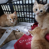 С��è��������