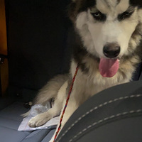 ��ʿ��ܵ����ļ�ͥ����