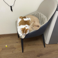 ��è�˼������ϵ�������ë�����������ӵ������������