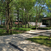 �����氲��