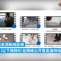 綨ʮǧԪŰɱƵߣܴ̼