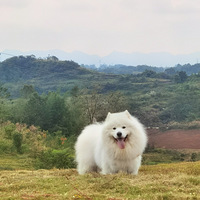 ��ҹ˯���ţ����������ҵĹ���