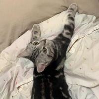 ���������ǵı�������᳤è��