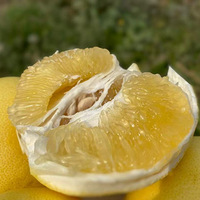 óԵˮţۣ֣֭ĳƻ