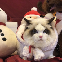 ����ֵ��ż�ܵ���Ů����