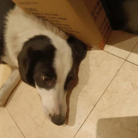 �м�����Ҫ��������Ĺ��ӣ�