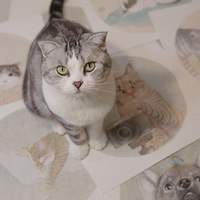 ��èΪ���ڻ����桫