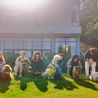 ���Ż��������������