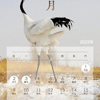 2022żٰʱ¯ڹ7죬һ5