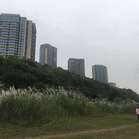 ������쳤���߳����ö�â