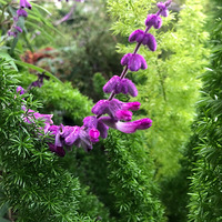 Ҽ�Ű뵺��ʽ�ӷ���