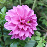 ��·����Щ����