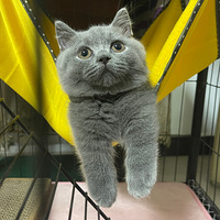 �������~~~������