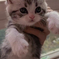 �̲�ס�ˣ�Ҳ��ɹ������