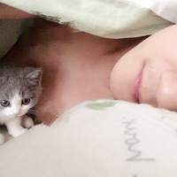 ������ů���ҵ�èϵ��Ů�ѡ��������޳���װů�Ҵ����ڶ�����