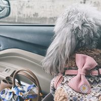 �𱦵ĺϴ��С����˹������˵���ǣ��е������ˡ�