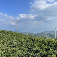 2021ΡĻǭļ