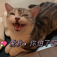 ��Ҳ��֪��Сè��Ϊʲô��Խ��Խ���������