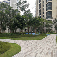 ���Ч�� ��׬����