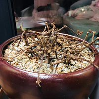 �����Ż�԰��Ķ��⣬ȫ������⣬̫ȱ���ˡ�