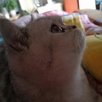 ��������������۾����ӡ�